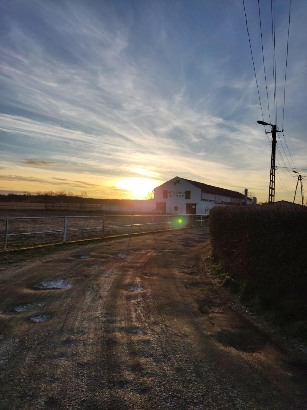 Noclegi Przy Stajni Senny - Horse Riding Łeba Exterior foto